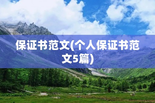 保证书范文(个人保证书范文5篇) 保证书范文(个人保证书范文5篇)