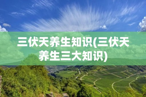 三伏天养生知识(三伏天养生三大知识)