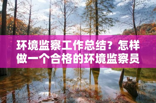 环境监察工作总结？怎样做一个合格的环境监察员工作总结
