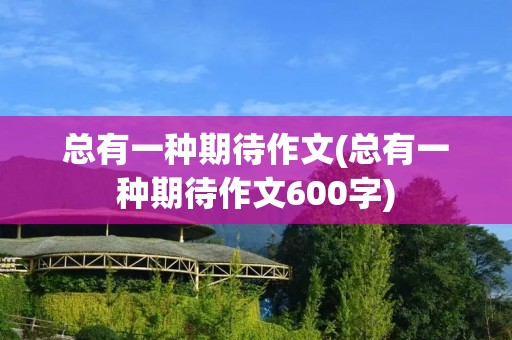 总有一种期待作文(总有一种期待作文600字)