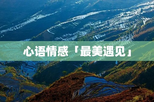 心语情感「最美遇见」