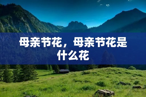 母亲节花，母亲节花是什么花