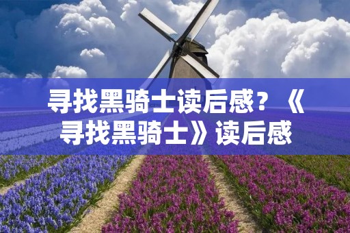 寻找黑骑士读后感？《寻找黑骑士》读后感