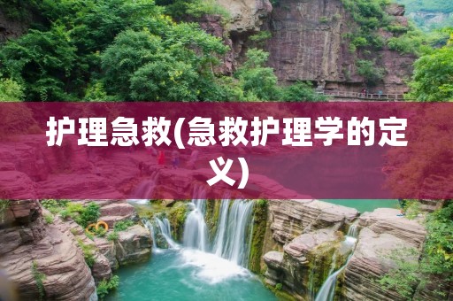 护理急救(急救护理学的定义)