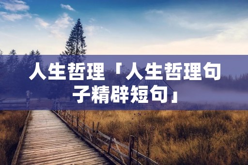 人生哲理「人生哲理句子精辟短句」
