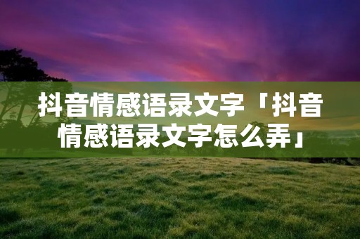 抖音情感语录文字「抖音情感语录文字怎么弄」
