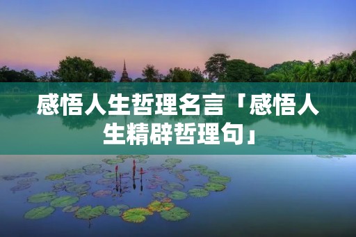 感悟人生哲理名言「感悟人生精辟哲理句」