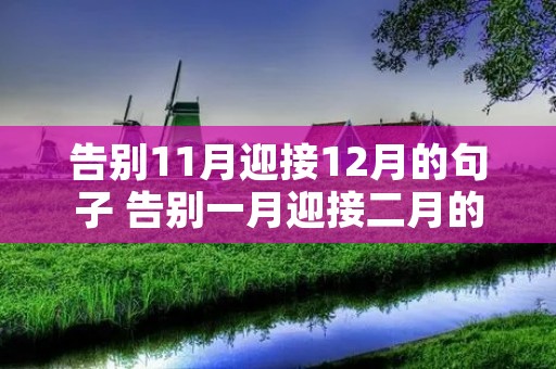 告别11月迎接12月的句子 告别一月迎接二月的唯美励志句子