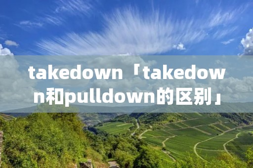 takedown「takedown和pulldown的区别」