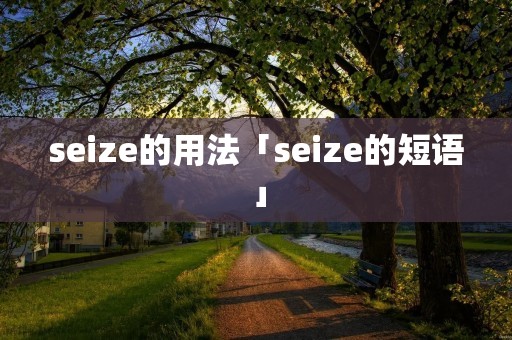 seize的用法「seize的短语」