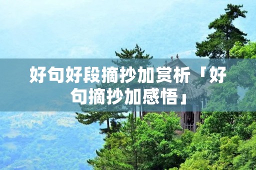 好句好段摘抄加赏析「好句摘抄加感悟」