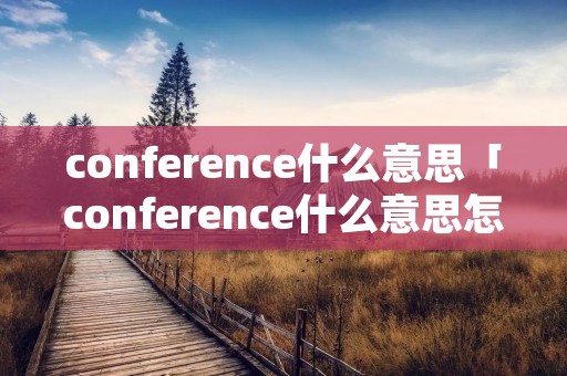 conference什么意思「conference什么意思怎么读」