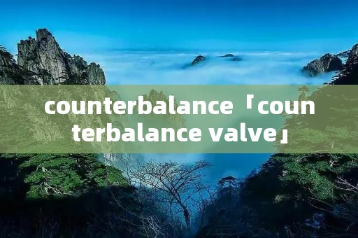 counterbalance「counterbalance valve」