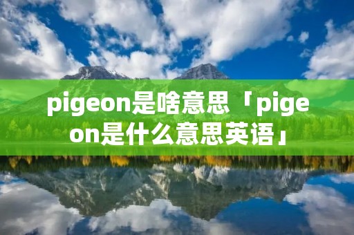 pigeon是啥意思「pigeon是什么意思英语」