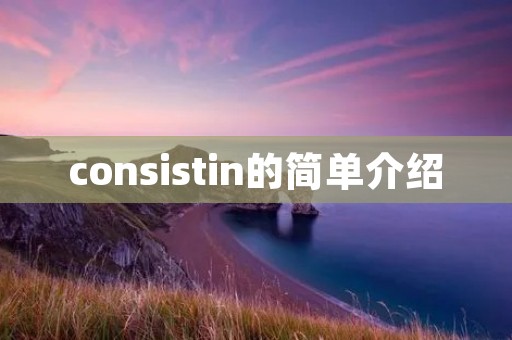consistin的简单介绍