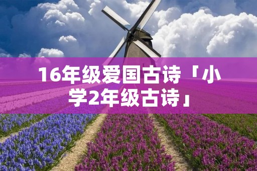 16年级爱国古诗「小学2年级古诗」