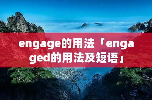 engage的用法「engaged的用法及短语」