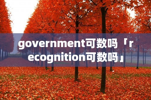 government可数吗「recognition可数吗」 government可数吗「recognition可数吗」