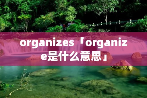 organizes「organize是什么意思」