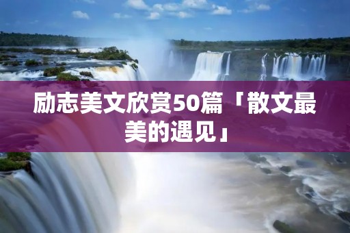 励志美文欣赏50篇「散文最美的遇见」