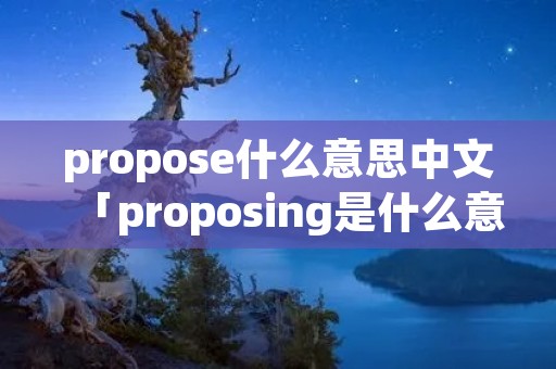 propose什么意思中文「proposing是什么意思中文」
