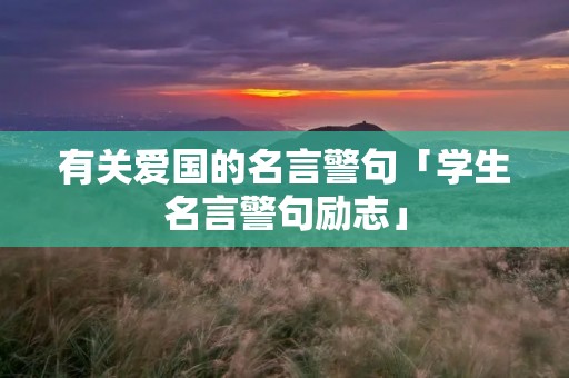 有关爱国的名言警句「学生名言警句励志」