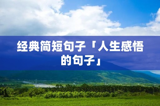 经典简短句子「人生感悟的句子」