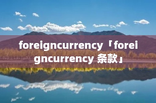 foreigncurrency「foreigncurrency 条款」