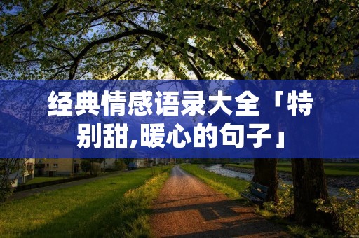经典情感语录大全「特别甜,暖心的句子」