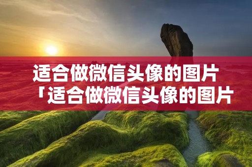 适合做微信头像的图片「适合做微信头像的图片风景」