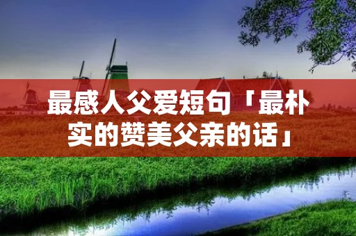 最感人父爱短句「最朴实的赞美父亲的话」