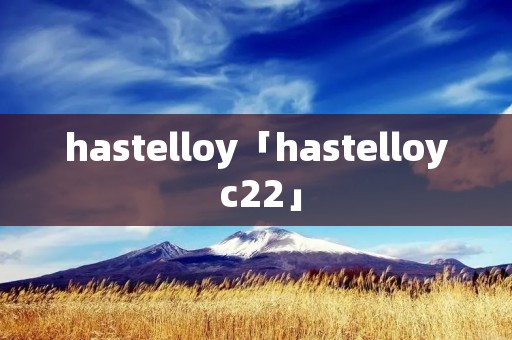 hastelloy「hastelloy c22」