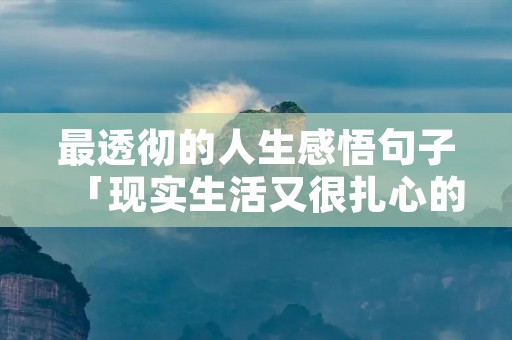 最透彻的人生感悟句子「现实生活又很扎心的句子」