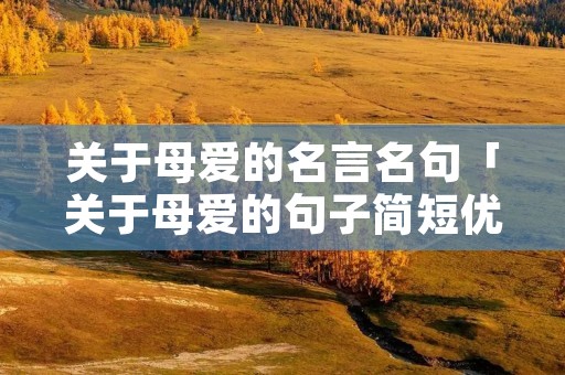 关于母爱的名言名句「关于母爱的句子简短优美」