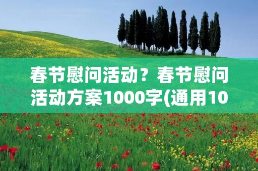 春节慰问活动？春节慰问活动方案1000字(通用10篇)