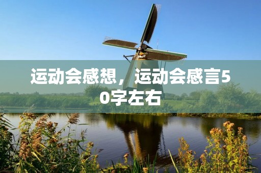 运动会感想,运动会感言50字左右 运动会感想,运动会感言50字左右