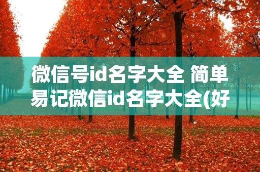 微信号id名字大全 简单易记微信id名字大全(好听又好记的微信id) 微信号id名字大全 简单易记微信id名字大全(好听又好记的微信id)