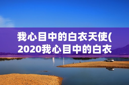 我心目中的白衣天使(2020我心目中的白衣天使抗击**作文10篇)