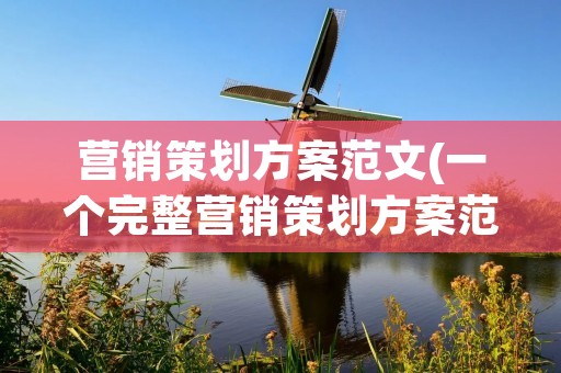 营销策划方案范文(一个完整营销策划方案范文)