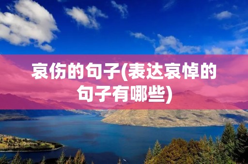 哀伤的句子(表达哀悼的句子有哪些)