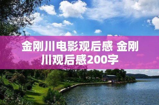 金刚川电影观后感 金刚川观后感200字 金刚川电影观后感 金刚川观后感200字