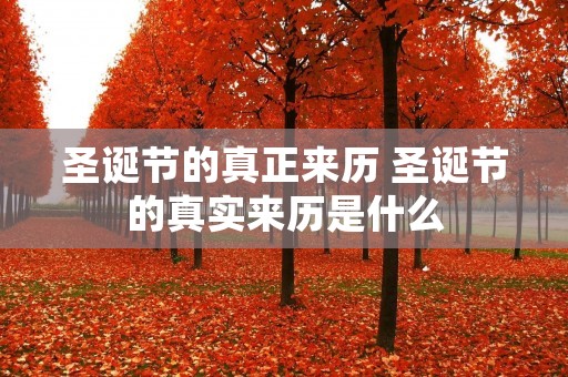 圣诞节的真正来历 圣诞节的真实来历是什么 圣诞节的真正来历 圣诞节的真实来历是什么