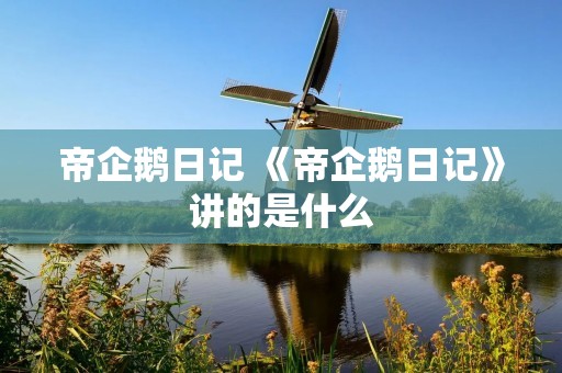 帝企鹅日记 《帝企鹅日记》讲的是什么 帝企鹅日记 《帝企鹅日记》讲的是什么