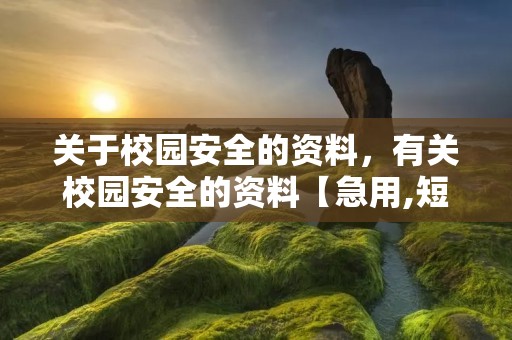 关于校园安全的资料，有关校园安全的资料【急用,短的】