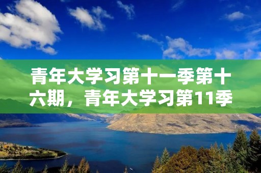 青年大学习第十一季第十六期，青年大学习第11季时间