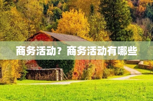 商务活动？商务活动有哪些
