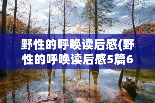 野性的呼唤读后感(野性的呼唤读后感5篇600字)