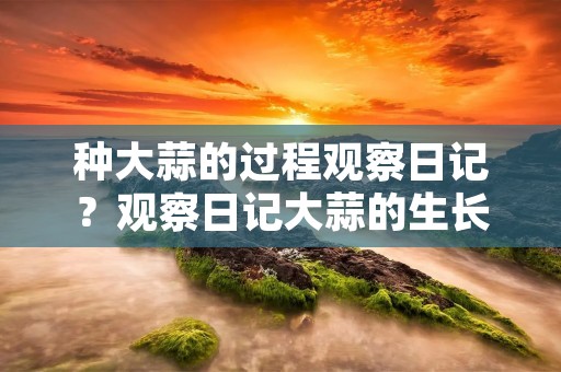 种大蒜的过程观察日记?观察日记大蒜的生长过程怎么写