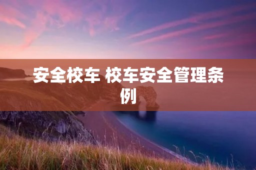 安全校车 校车安全管理条例