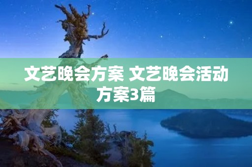文艺晚会方案 文艺晚会活动方案3篇